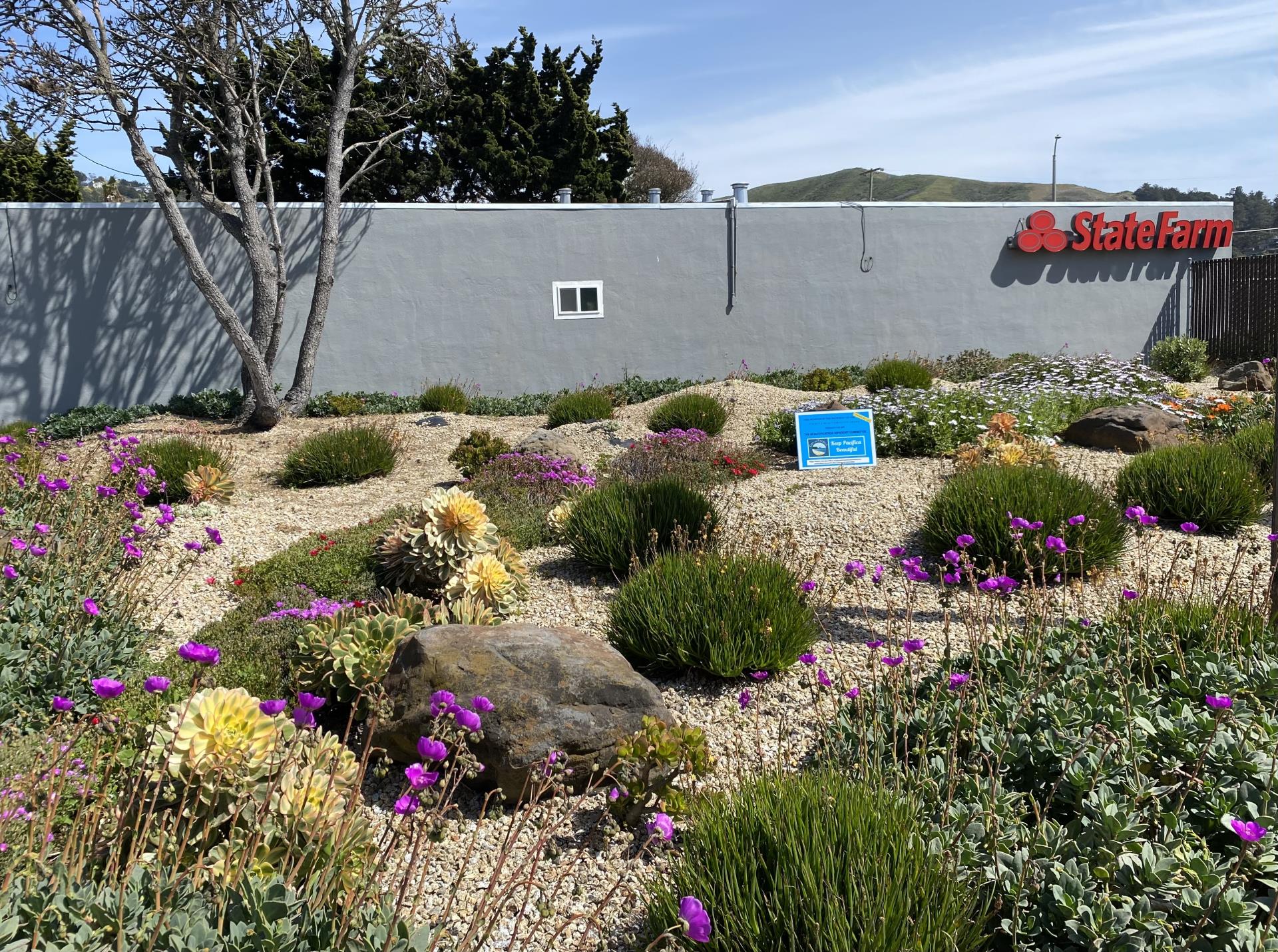Pacifica Beautification Award for Commerical Building State Farm Landscape